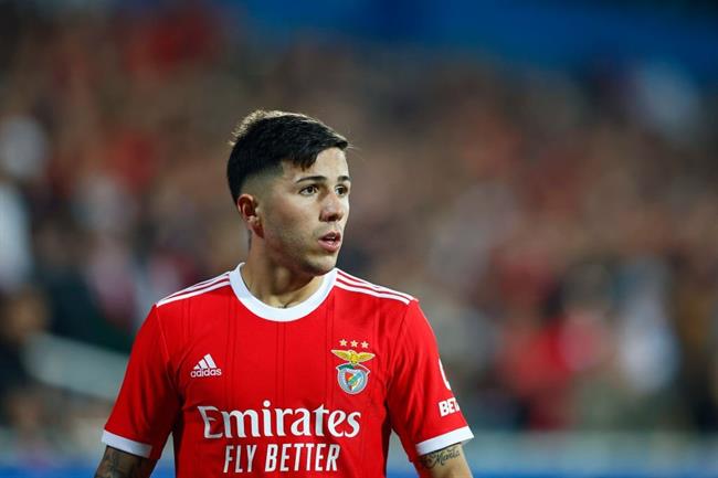 Enzo Fernandez nổi loạn ở Benfica để được đến Chelsea 